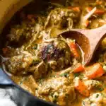 Chicken and Pumpkin Dumplings – A Deliciously Cozy Fall Favorite 11 Chicken and pumpkin dumplings simmering in a creamy golden broth with carrots and herbs, served in a rustic pot